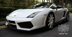 Lamborghini Gallardo Toro by DMC '2012